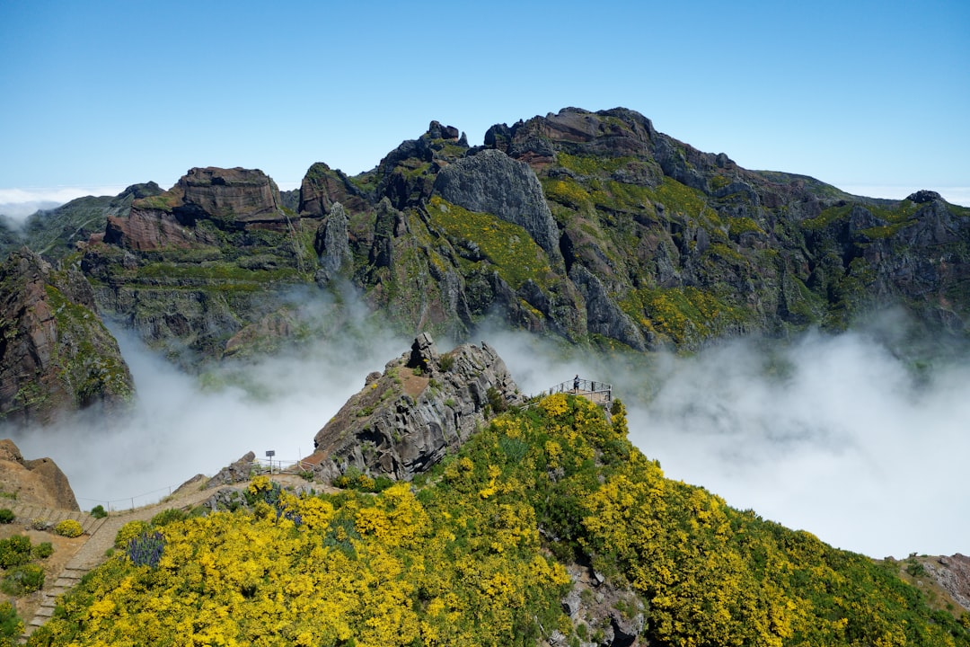 ピコ・ド・フォゴ:カーボベルデの活火山トレッキング - Pico do Fogo | Secret World Trip Planner