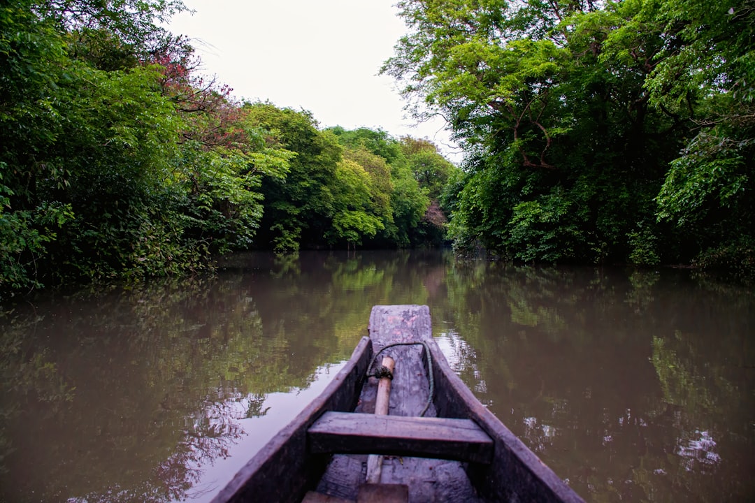 Ratargul: a floresta alagada de Bangladesh - 2W79+MFG | Secret World Trip Planner