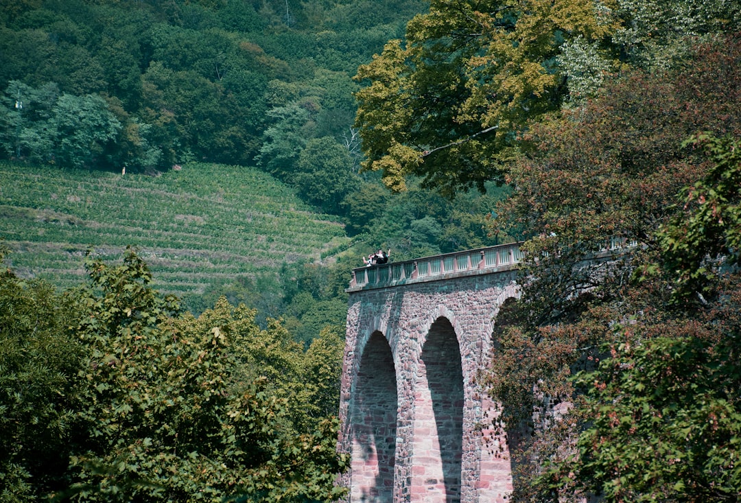 Il Ponte del Diavolo di Gablenz: un cerchio perfetto - Halbendorfer Str. | Secret World Trip Planner