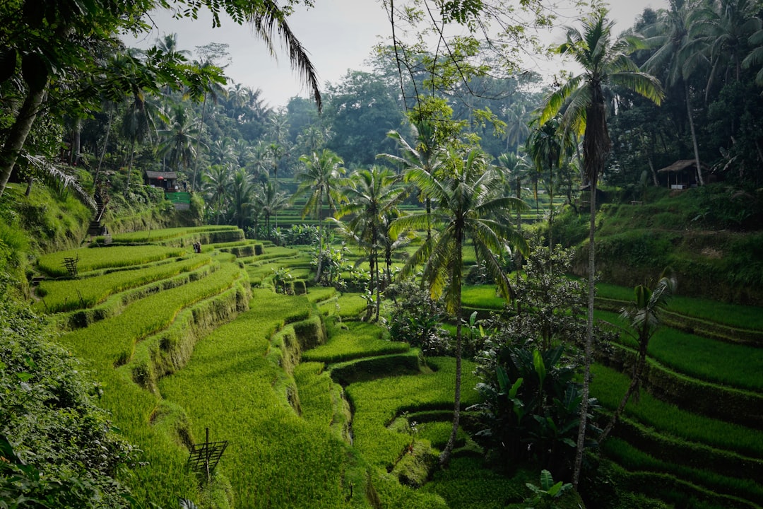 Vacances à Bali pas chères 2026 : guide pratique - Bali | Secret World Trip Planner