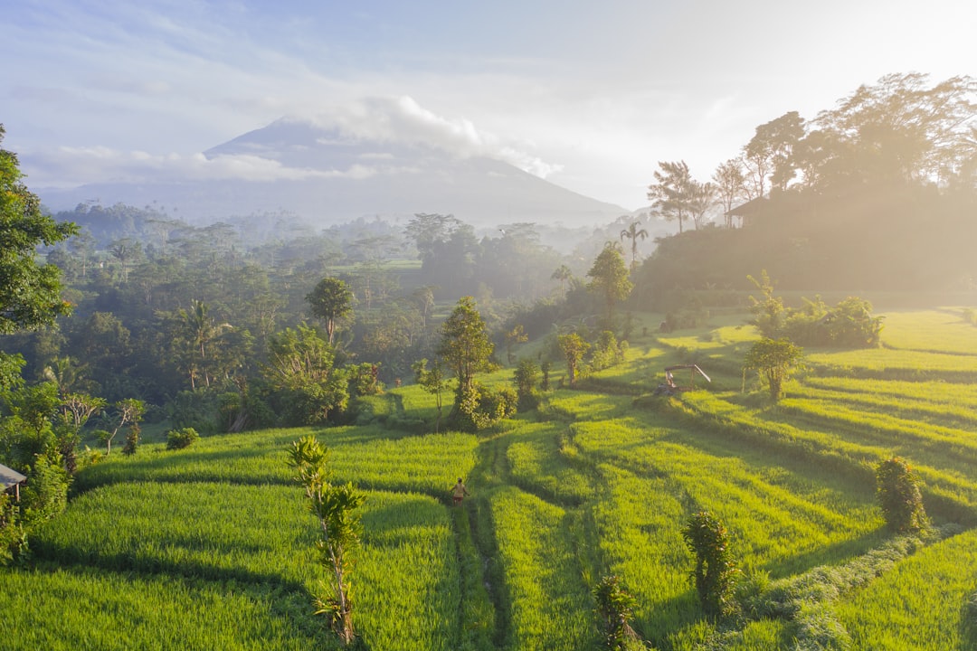 Vacaciones en Bali 2026: guía para ahorrar - Bali | Secret World Trip Planner