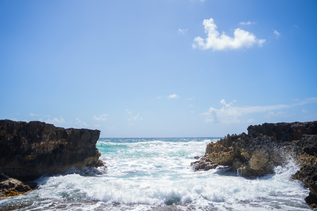 Punta Sur: Die wilde Spitze von Cozumel - 77600 Cozumel | Secret World Trip Planner