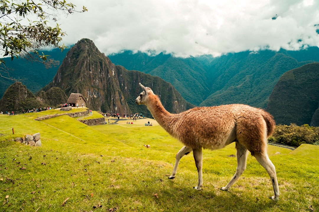 Descubra Paca, o Paraíso da Natureza no Peru - Yuracmayo | Secret World Trip Planner