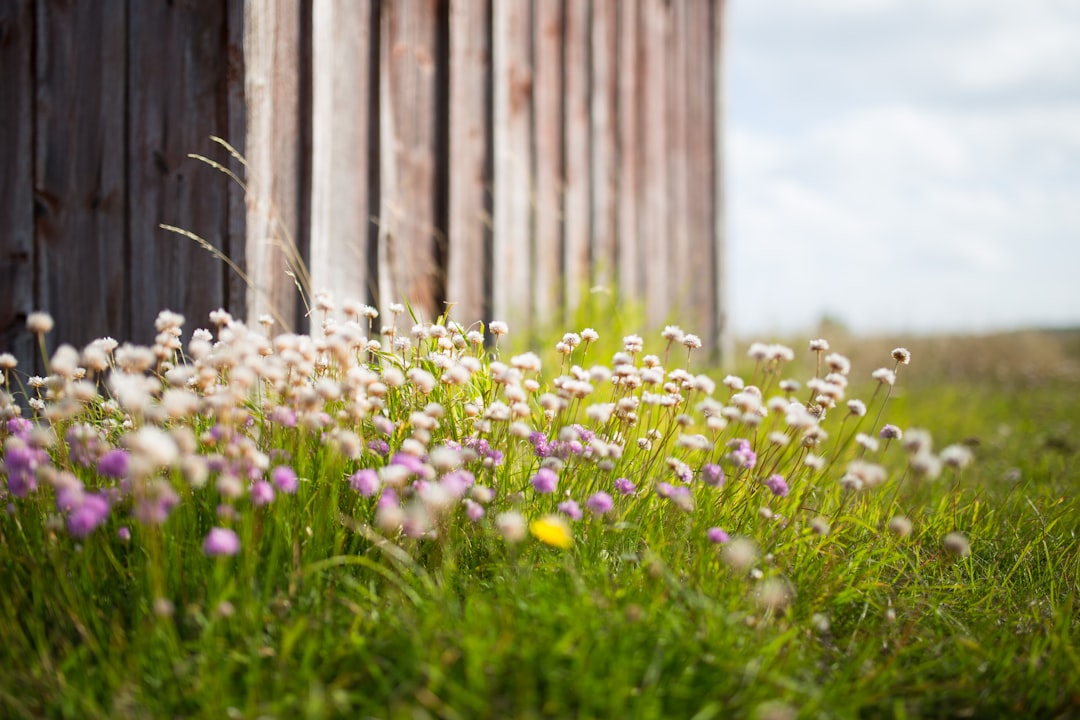 Fårö: natureza selvagem e raukar no Báltico - Fårö | Secret World Trip Planner