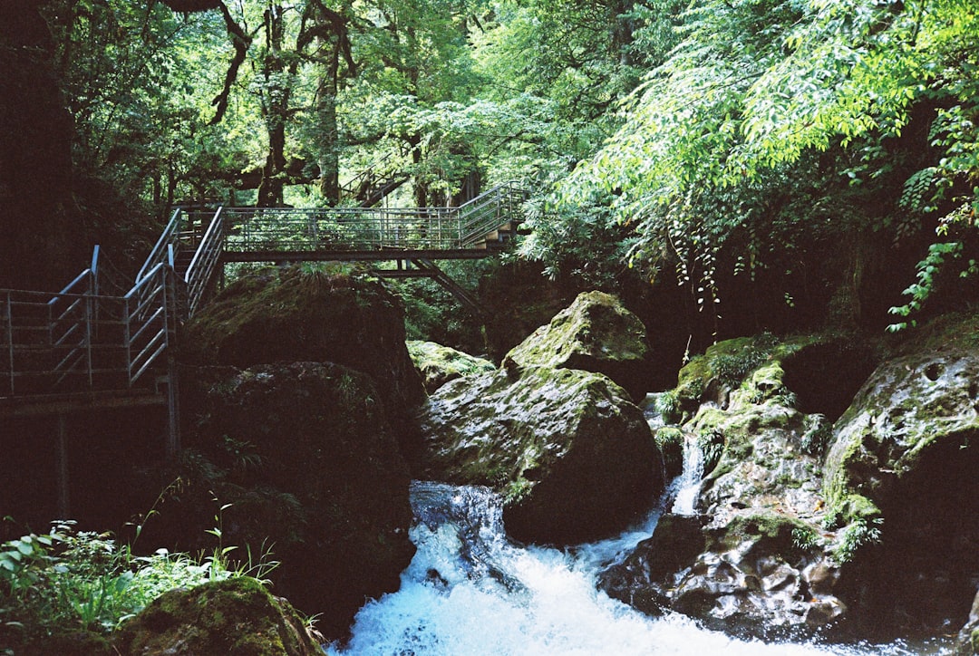 Gola de Vintgar : nature sauvage près de Bled - Podhom 80 | Secret World Trip Planner