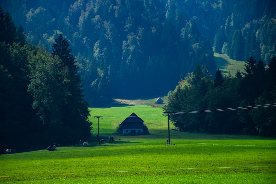 바사 Vršič: 슬로베니아 줄리안 알프스의 파노라마 - Kranjska Gora- Vršič | Secret World Trip Planner