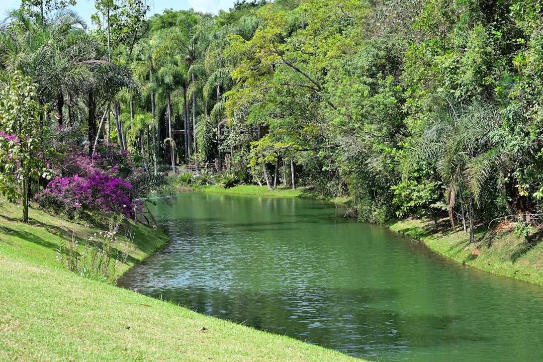 칼데이론 베르데의 레바다: 산타나의 숲과 폭포 - Levada do Caldeirão Verde | Secret World Trip Planner