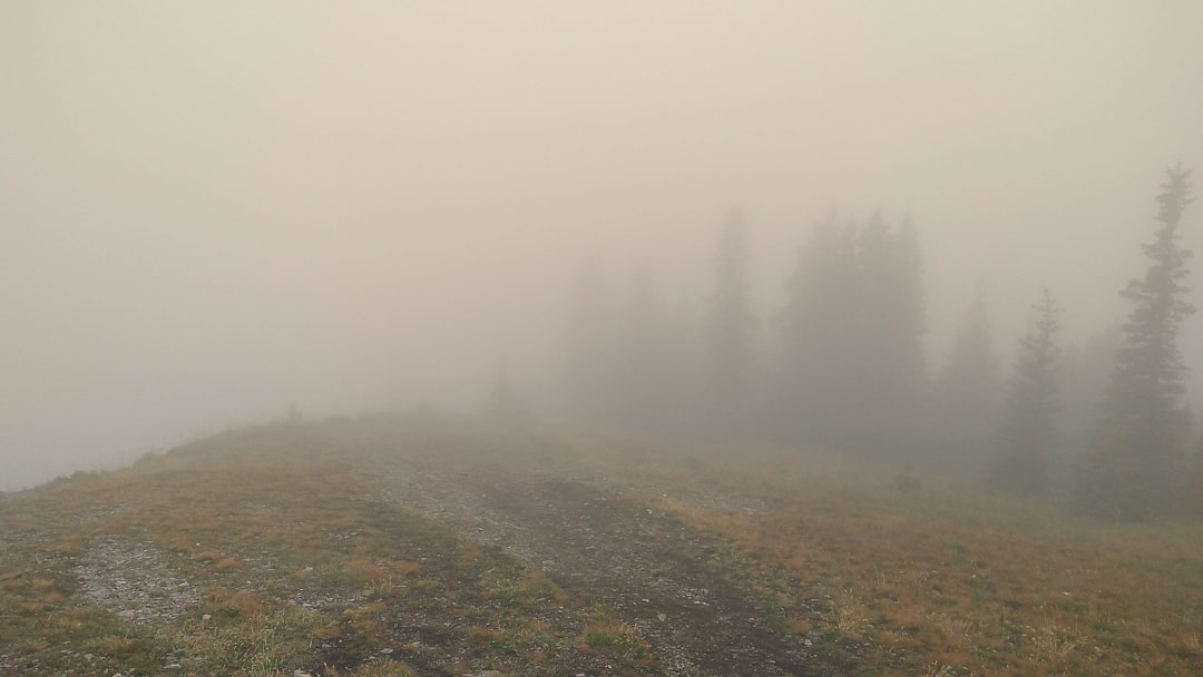 Kananaskis Trail: Alpine Paths Among Bears and Lakes - Kananaskis | Secret World Trip Planner