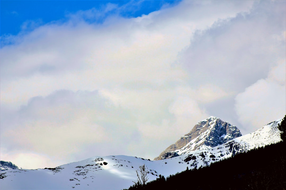 Kananaskis Trail : sentiers alpins entre ours et lacs - Kananaskis | Secret World Trip Planner