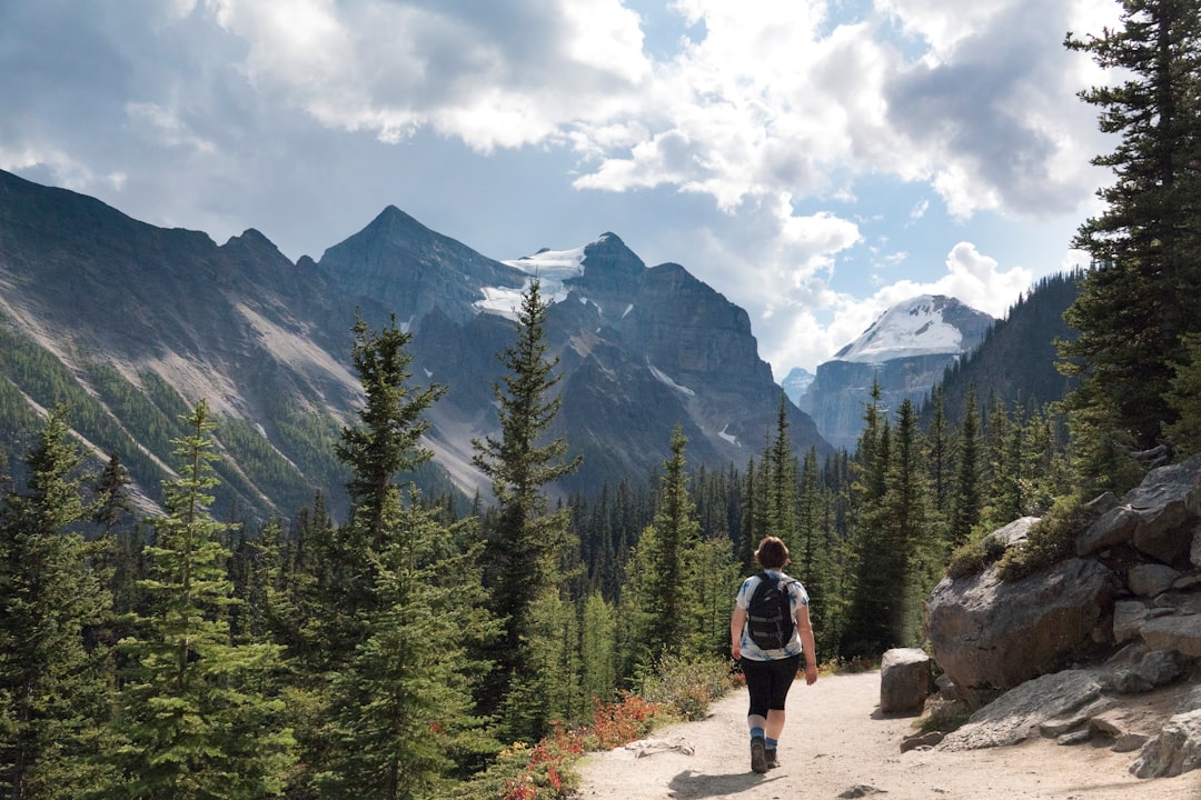 Kananaskis Trail : sentiers alpins entre ours et lacs - Kananaskis | Secret World Trip Planner