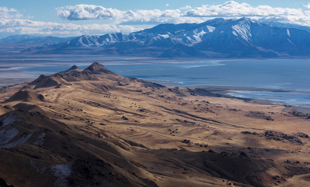 Antelope Island Trails: Bison and Pink Waters of Great Salt Lake - Syracuse | Secret World Trip Planner