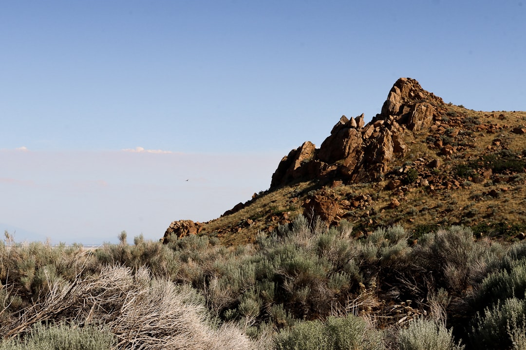 Sentiers d'Antelope Island : bisons et eaux roses du Grand Lac Salé - Syracuse | Secret World Trip Planner