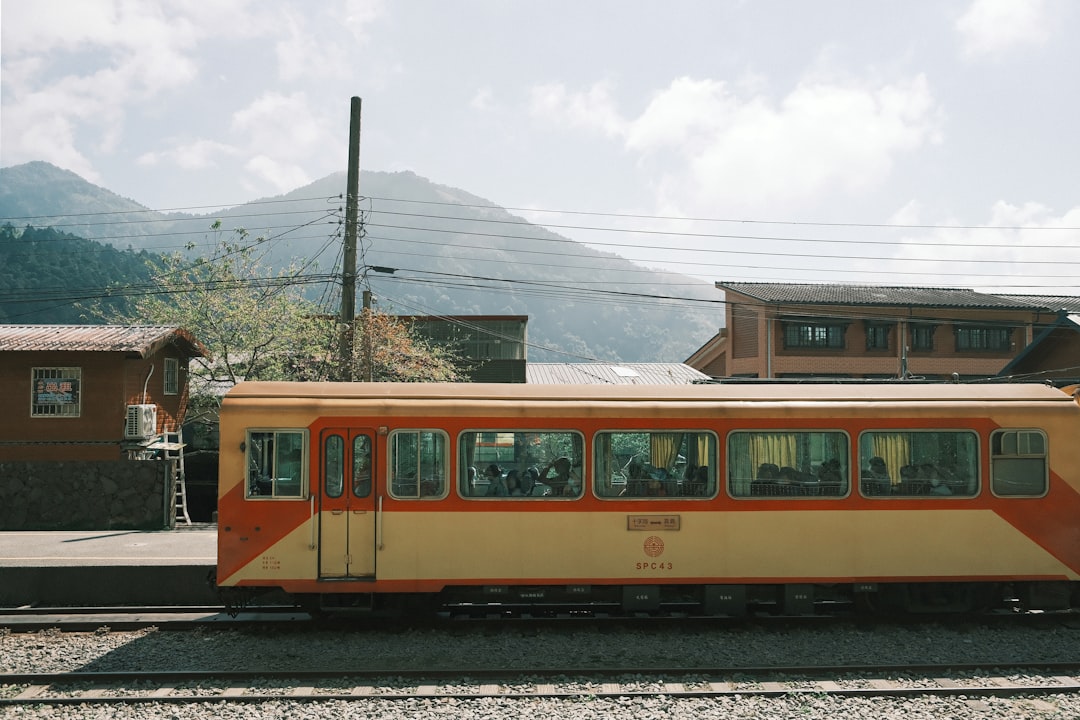 Alishan: trilhas entre ciprestes e nuvens - Zhongzheng Village | Secret World Trip Planner
