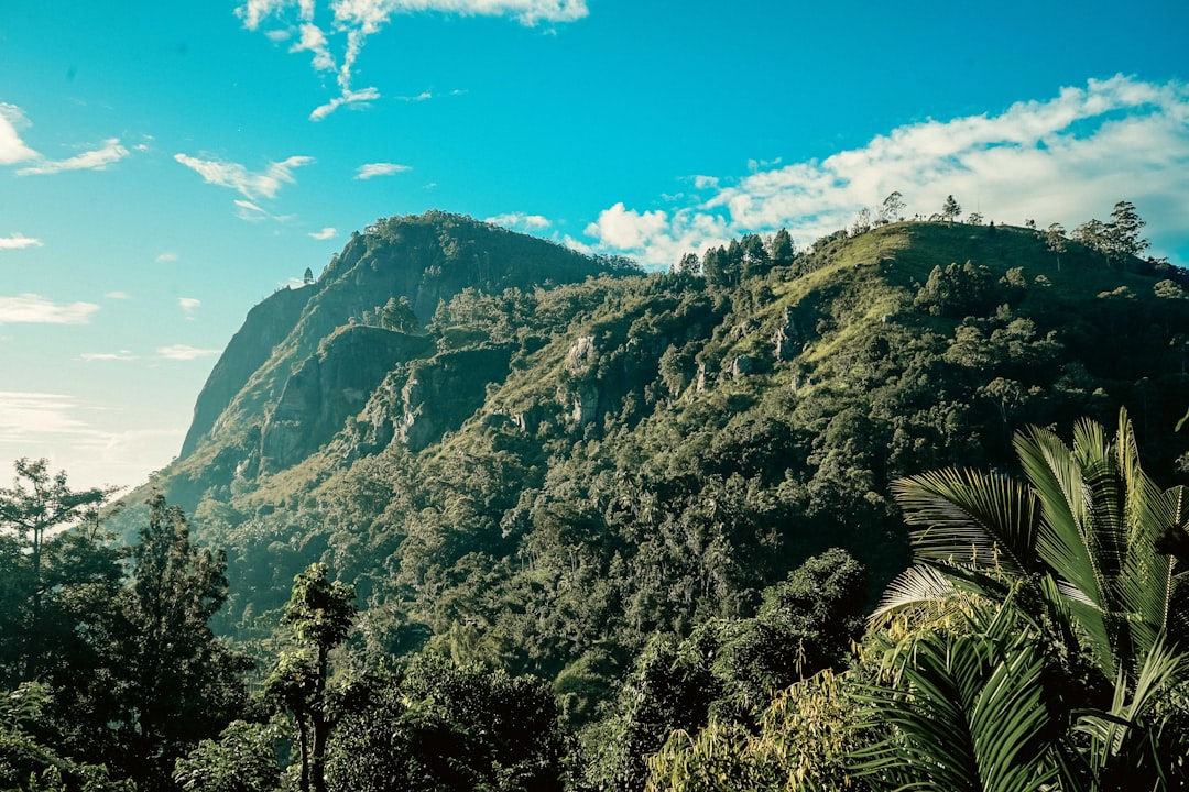 Kleiner Adams Peak: Panorama bei Sonnenaufgang in Ella - Ella | Secret World Trip Planner