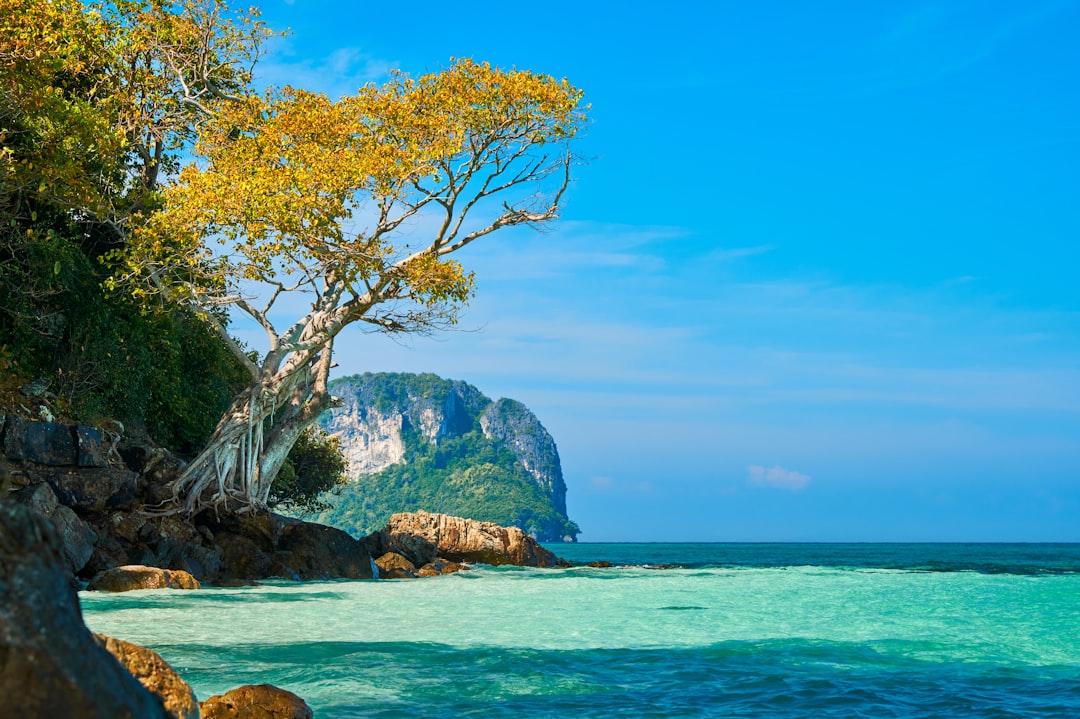 Scopri Khao Khiao: Un Paradiso Naturale in Thailandia - Pak Phli District | Secret World Trip Planner
