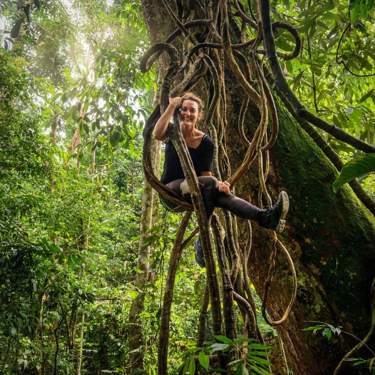 Bukit Lawang - Jungle Paradise - Kabupaten Langkat | Secret World Trip Planner