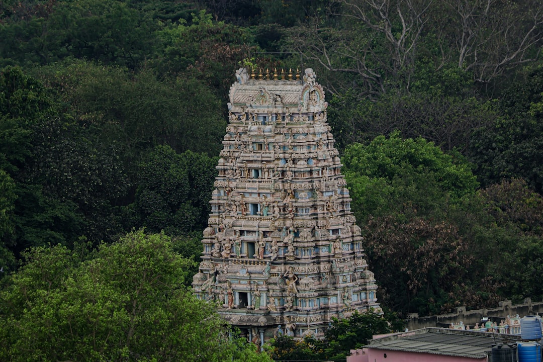 卡帕利什瓦拉寺：陈奈的神圣雕塑 - Chennai | Secret World Trip Planner