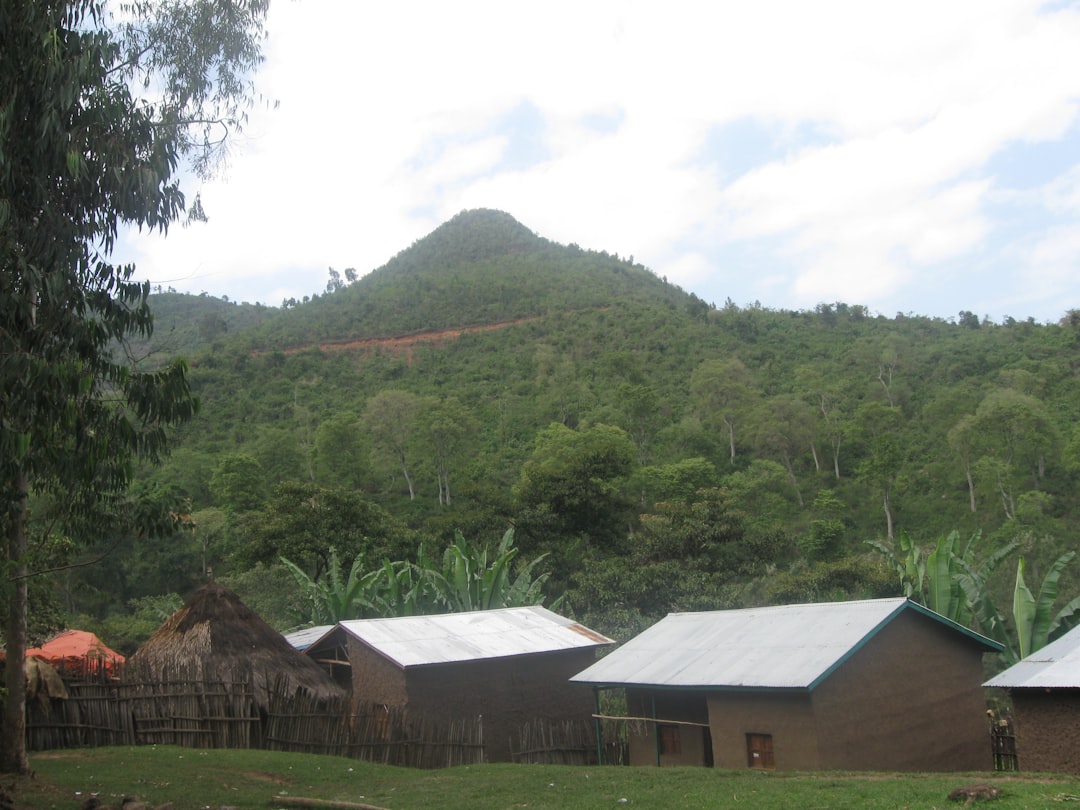 Scopri Curcuana: la Montagna Nascosta dell'Etiopia - X5R9+5H Zamoge | Secret World Trip Planner