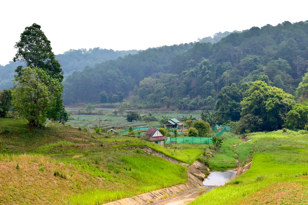 Doi Inthanon: senderos entre bosques y pagodas - Distretto di Mae Chaem | Secret World Trip Planner