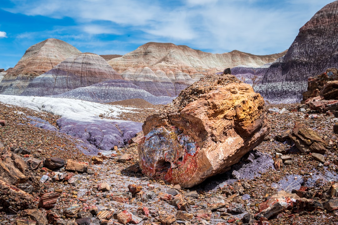 Foresta Pietrificata di Sigri: vistas del Egeo - Sigri | Secret World Trip Planner