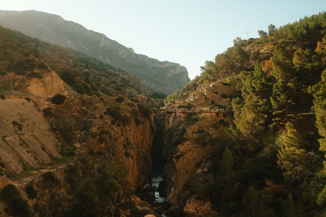 세스 푼테스 전망대: 발데모사의 숨겨진 경관 - 07170 Valldemossa | Secret World Trip Planner