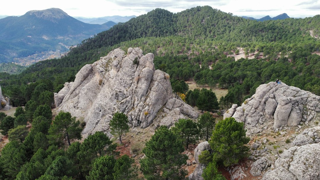 세스 푼테스 전망대: 발데모사의 숨겨진 경관 - 07170 Valldemossa | Secret World Trip Planner