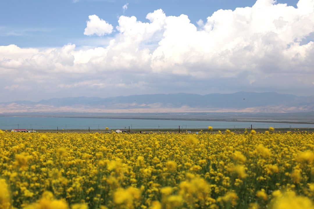 Lago Sevan: il mare d'Armenia a 1900 metri - Lago Sevan | Secret World Trip Planner