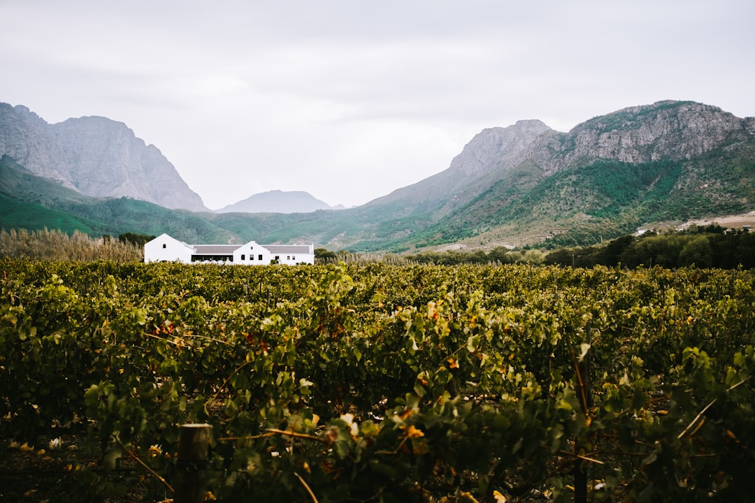 Discover the House of the Lord in South Africa: Culture and Spirituality — Benoni
