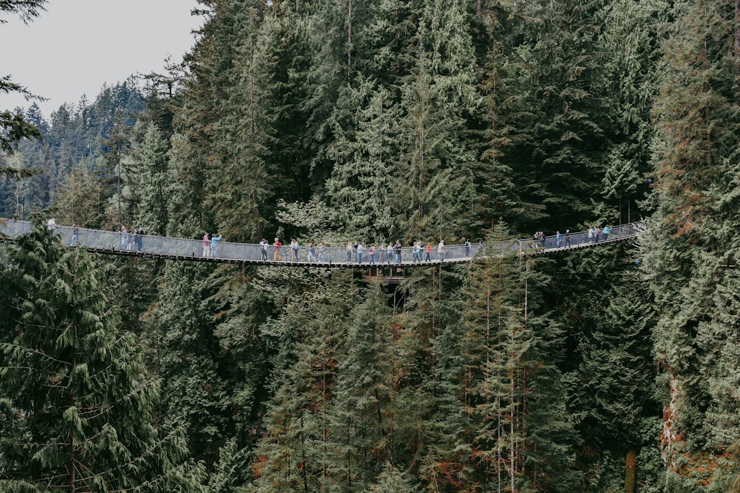 Капилано: 70 метров над рекой - North Vancouver | Secret World Trip Planner