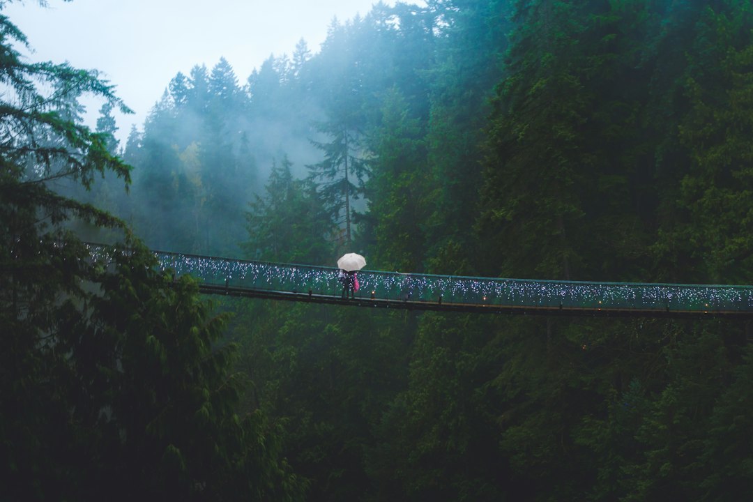 キャピラノ橋:川の上70メートルの絶景 - North Vancouver | Secret World Trip Planner