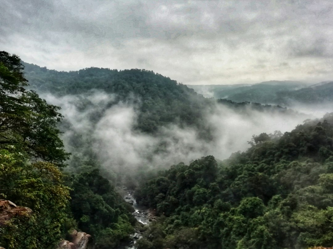 Udawatta Kele : la forêt royale au-dessus de Kandy - Sangamitta Mawatha | Secret World Trip Planner