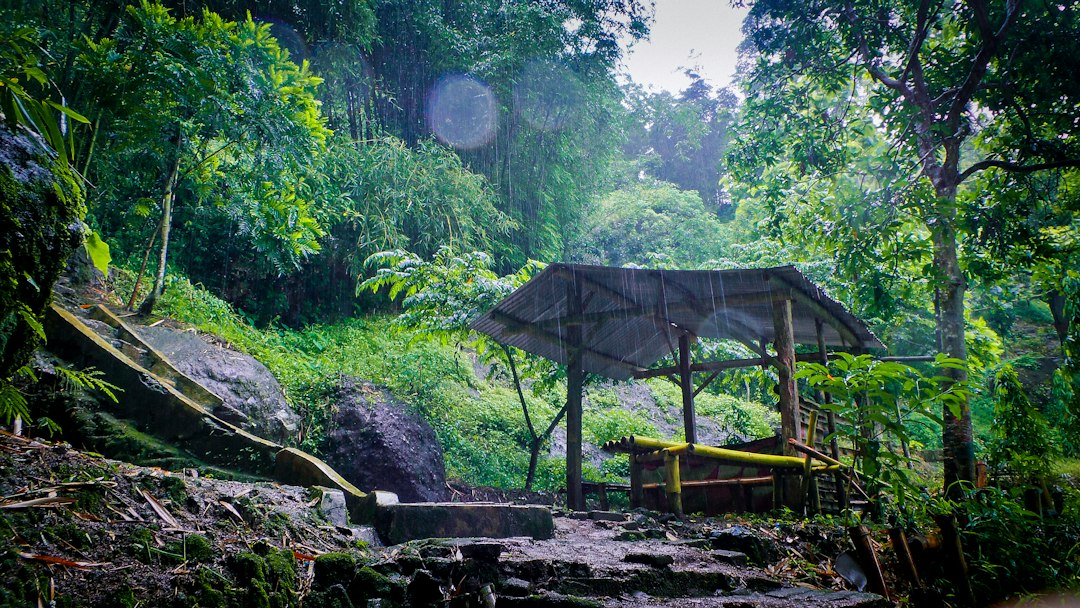 Udawatta Kele : la forêt royale au-dessus de Kandy - Sangamitta Mawatha | Secret World Trip Planner