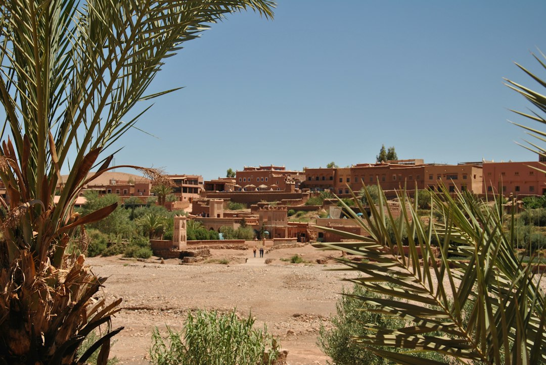 Figuig, l'oasi marocchina di 200.000 palme - Morocco | Secret World Trip Planner