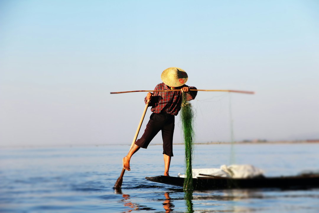 Giardins flutuantes do Lago Inle: cultivo na água - FWR5+W5J | Secret World Trip Planner