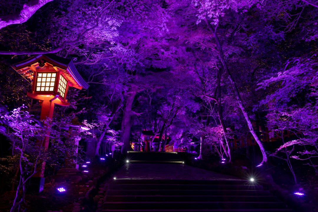 에도 원더랜드 닛코: 에도 시대의 예술을 만나다 - Nikko | Secret World Trip Planner