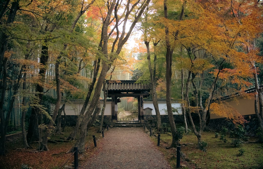江戸ワンダーランド日光:江戸時代の芸術を体験 - Nikko | Secret World Trip Planner