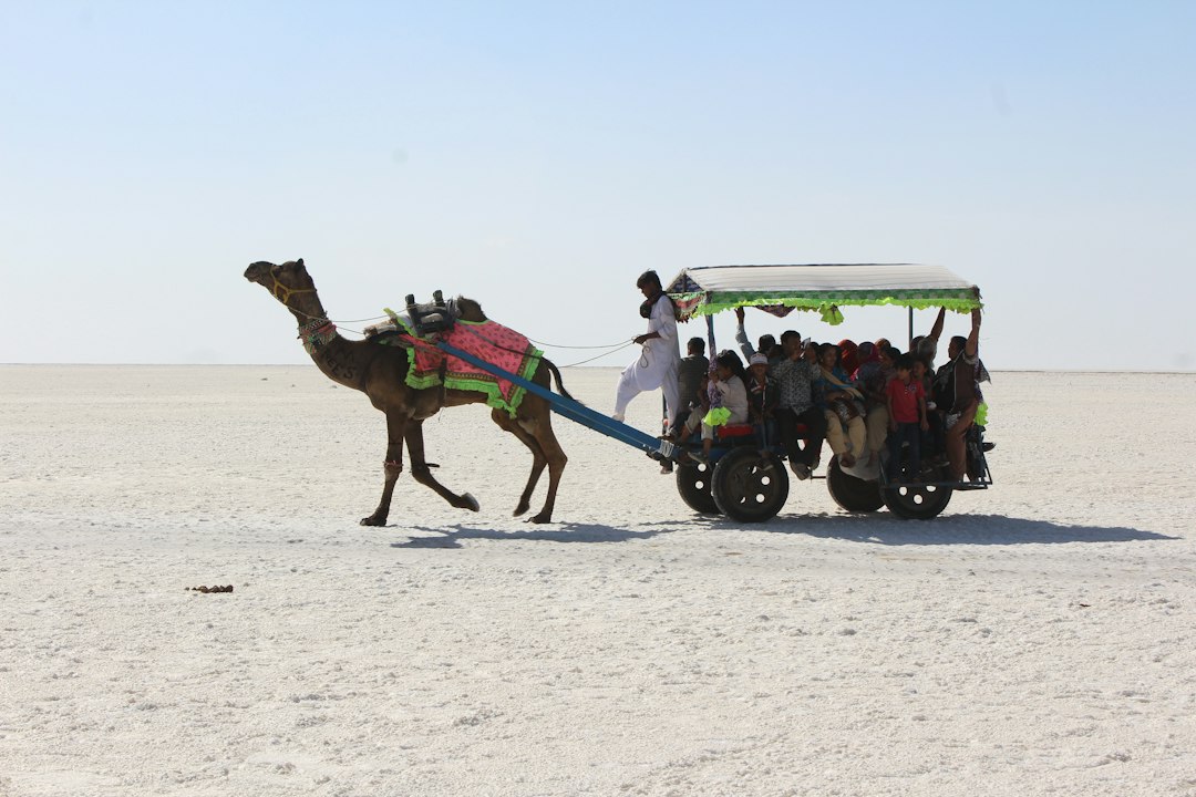 Rann of Kutch: The World's Largest Salt Desert - Juna | Secret World Trip Planner