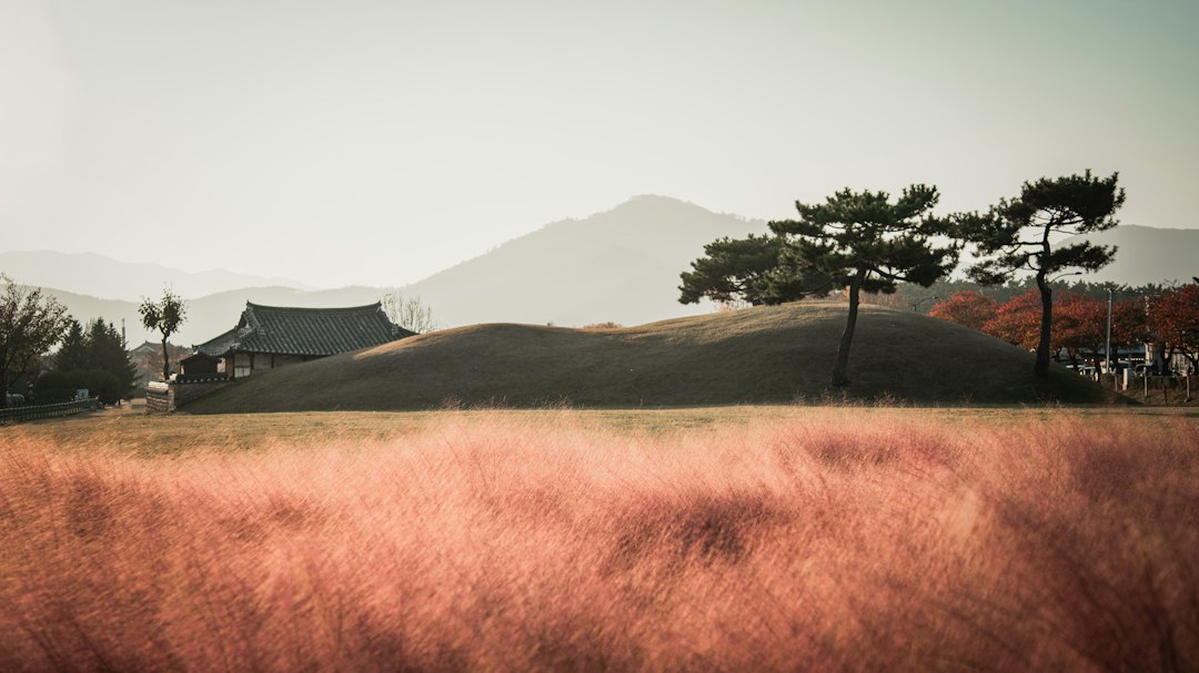 Museo Nacional de Gyeongju: tesoros del reino Silla - Gyeongju | Secret World Trip Planner