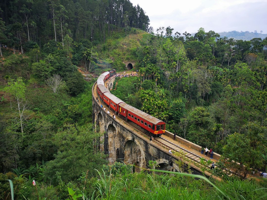 Nine Arch Bridge: il viadotto coloniale di Demodara - Akasa road | Secret World Trip Planner