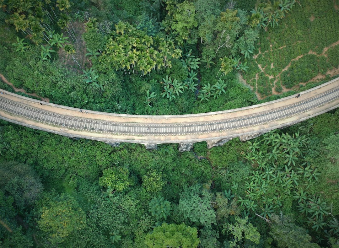 Ponte dos Nove Arcos: o viaduto colonial de Demodara — Akasa road