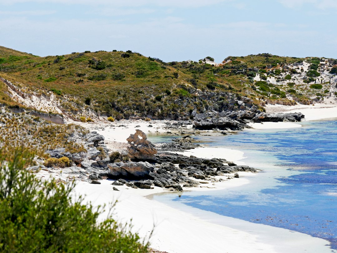 Остров Роттнест: остров квокка без автомобилей - Rottnest Island | Secret World Trip Planner
