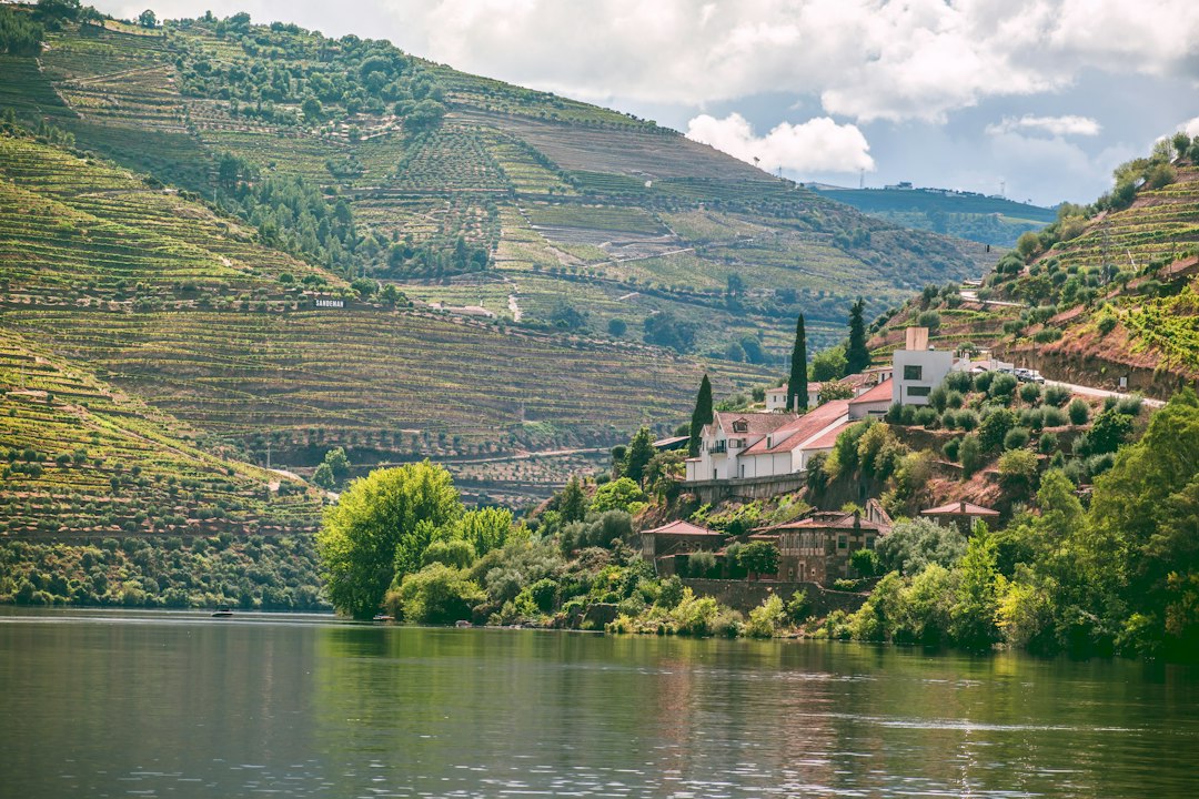 Esplorando il Pico Ruivo: il gioiello naturale di Madeira - Curral das Freiras | Secret World Trip Planner