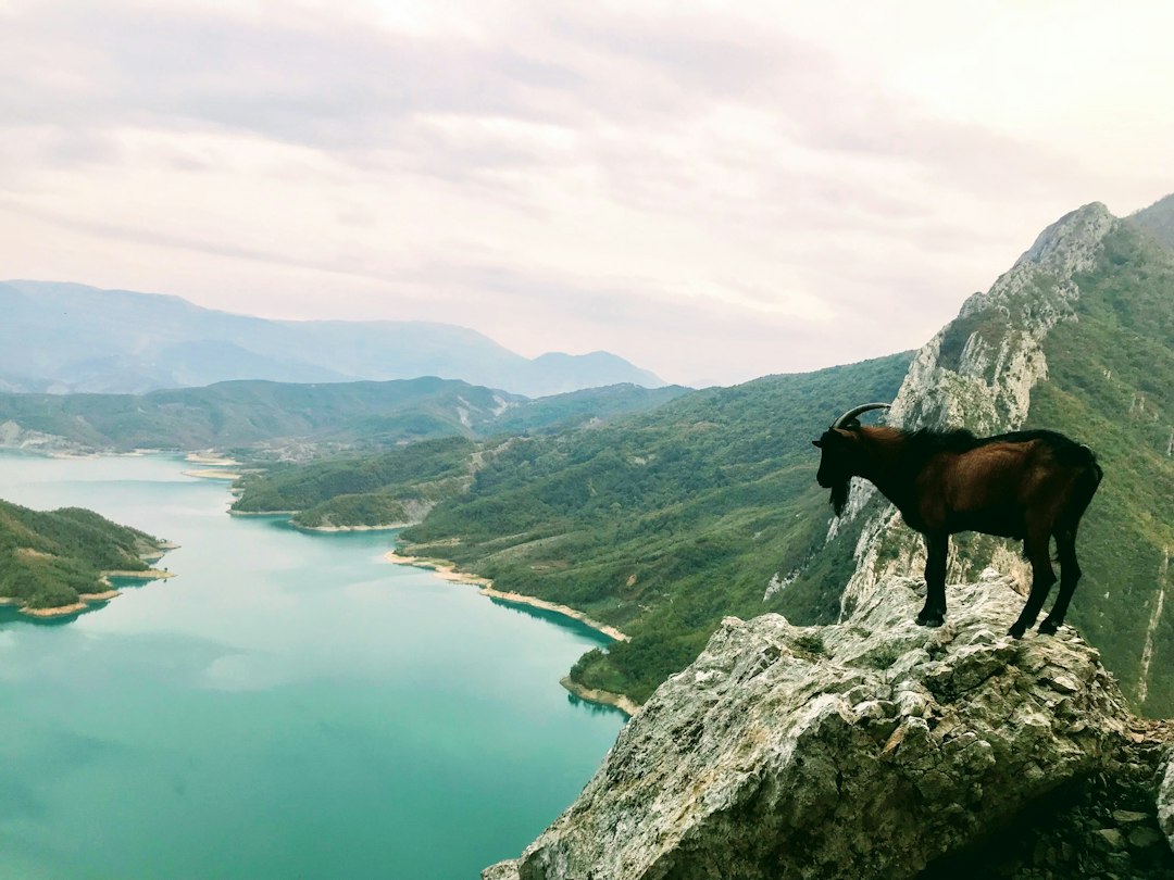 Mali i Krujës: un tesoro naturale nel cuore dell'Albania - Krujë | Secret World Trip Planner