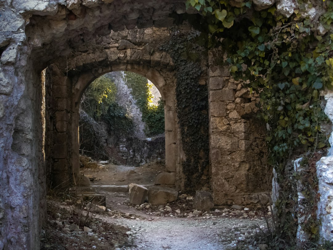 Gede Ruins: Swahili Palaces Swallowed by the Forest - Gede Watamu Rd | Secret World Trip Planner
