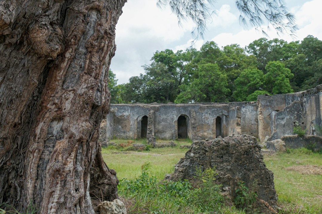 Ruines de Gede : palais swahili engloutis par la forêt - Gede Watamu Rd | Secret World Trip Planner
