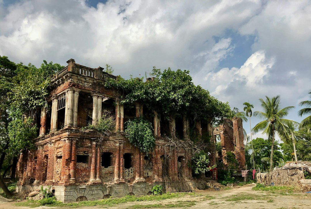 Ruinas de Gede: palacios swahili en la selva - Gede Watamu Rd | Secret World Trip Planner