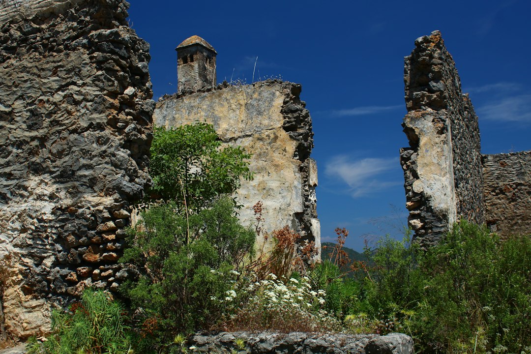 Ruínas de Gede: palácios swahili na floresta - Gede Watamu Rd | Secret World Trip Planner