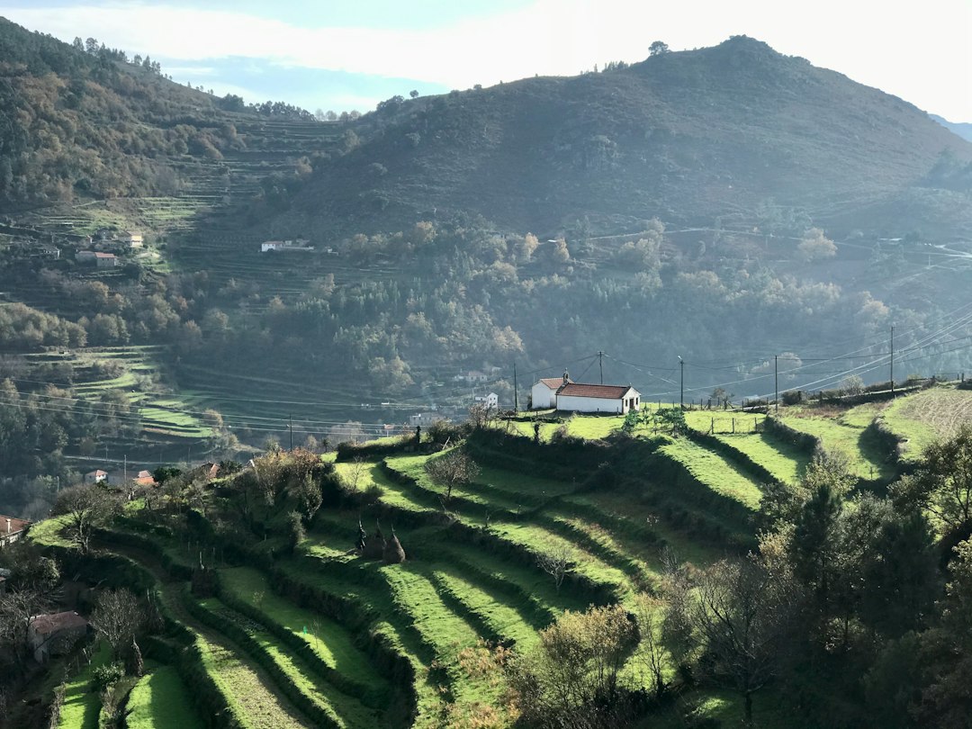 Квинта до Красто: вино и шифер в португальском Дору - Quinta do Crasto | Secret World Trip Planner
