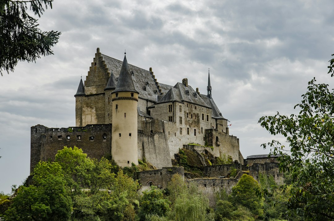 Le Château Croisé d'Ibelin à Yavne : guide complet - Yavne | Secret World Trip Planner
