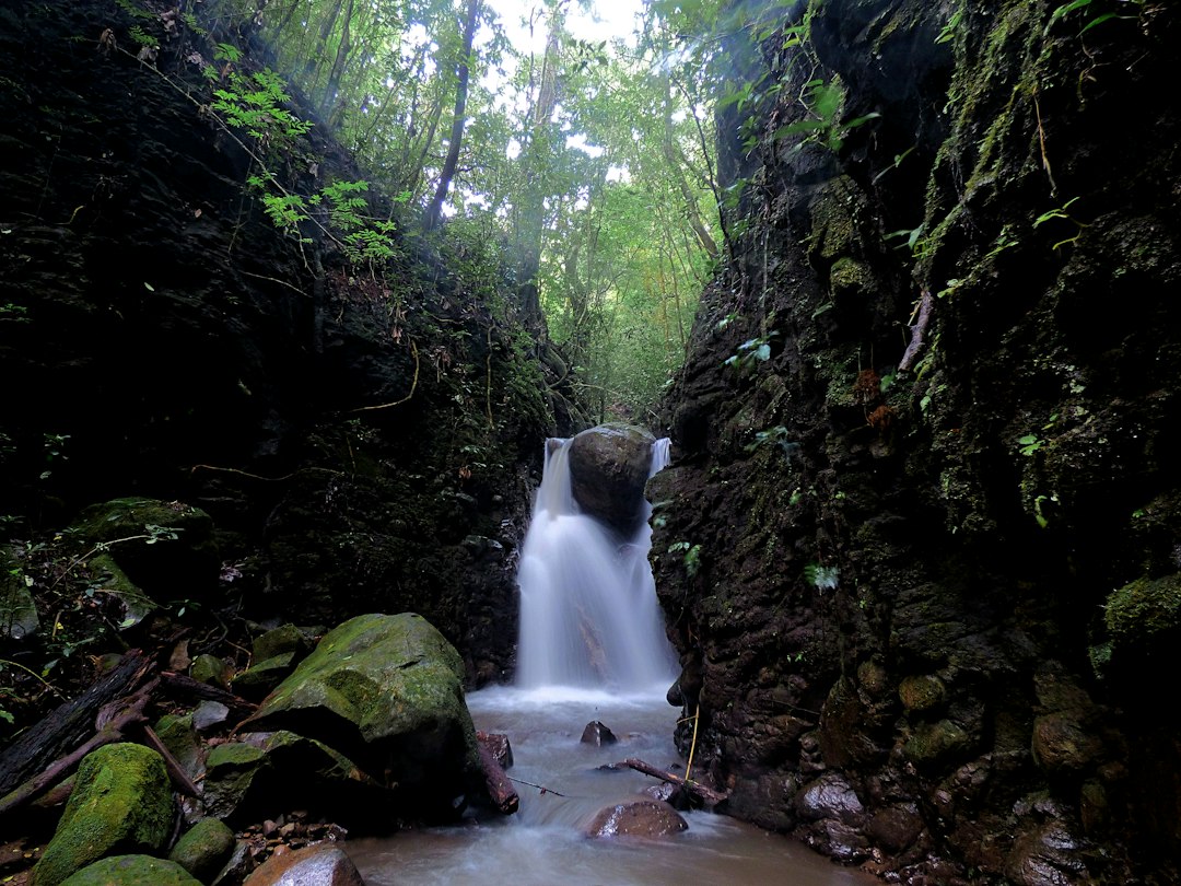 Monteverde: pontes suspensas na floresta nublada - Provincia di Puntarenas | Secret World Trip Planner